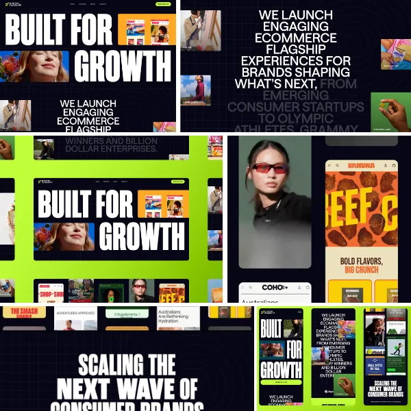Custom web design samples for different industries