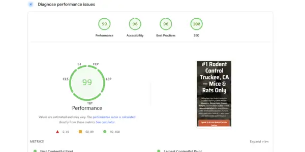 Website performance report