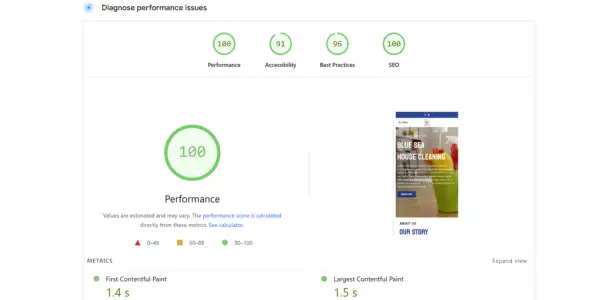 Website health check showing strong technical SEO performance