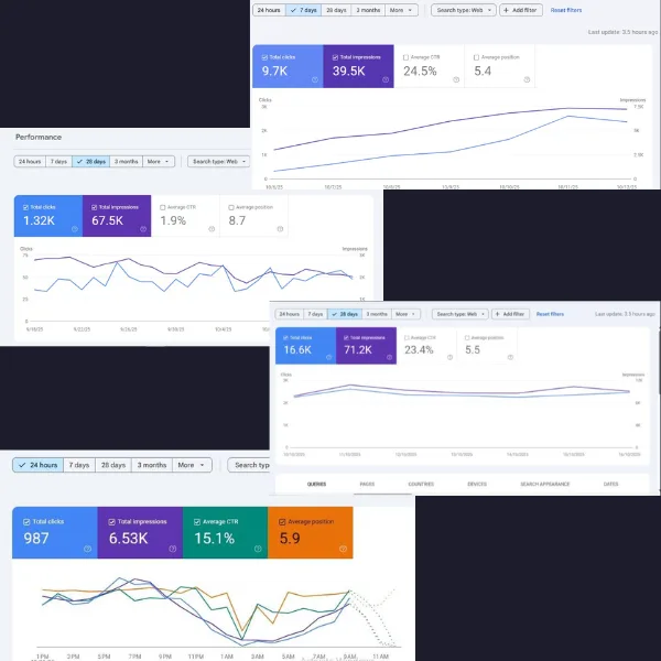 Digital Marketing Agency SEO Services